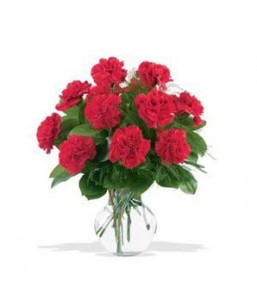 RED CARNATIONS 
