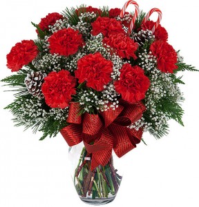 Red Carnations Arranged in Vase 