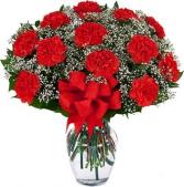 Red Carnations Dozen