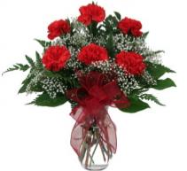 Red Carnations  Half Dozen