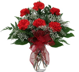 Red Carnations  Half Dozen