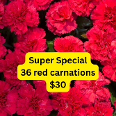 Red Carnations Wrapped Bouquet