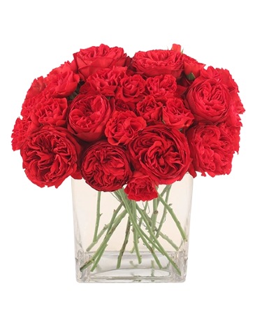 Red Carpet Bouquet Mixed Roses & Mini Roses in Northbrook, IL | Tomsone's Florist