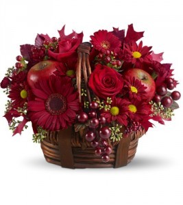 Red Delicious HFWEB453
