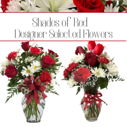 Red-Designer’s Choice