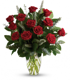 Category Image