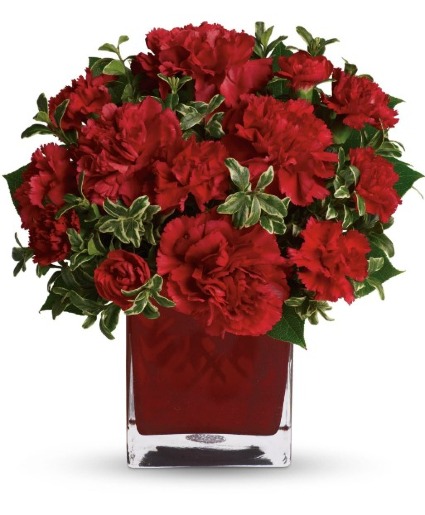 Red Everlasting Carnations