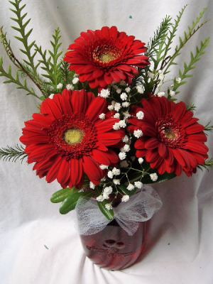 RED MINI GERBERA BRIGHTS IN  MASON JAR!! Mason jar color may vary depending on stock