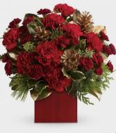 Red & Gold  Christmas flowers 