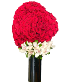 Red Heart $595.00 Red Roses and White Orchids