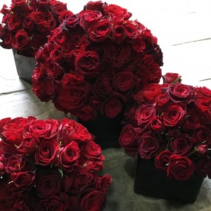 Red Hearts Rose Arrangement in Toronto, ON | BOTANY FLORAL STUDIO Red Hearts Rose Arrangement in Toronto, ON | BOTANY FLORAL STUDIO