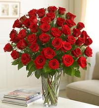 Red Hot Love Three Dozen Roses