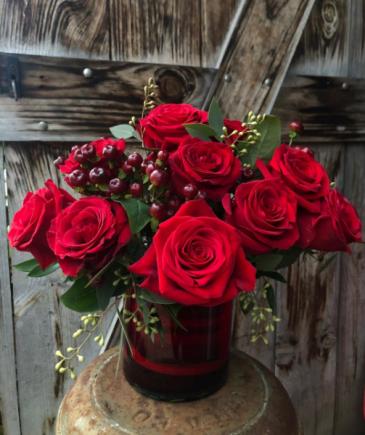 Red Hot Valentine ! red roses in red cylinder in North Adams, MA | MOUNT WILLIAMS GREENHOUSES INC