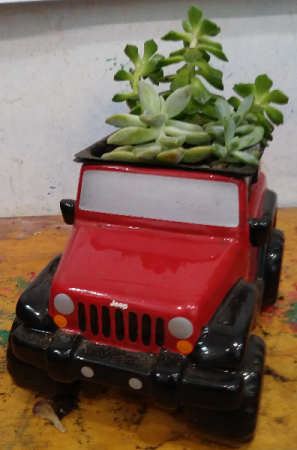 Father's Day Red JEEP with Succulents Red JEEP with Succulents