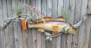 Red Metal Fish on Large Driftwood 