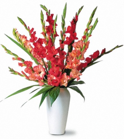 Red & Orange Gladioli Floral Arrangement in Lauderhill, FL - A ROYAL BLOOM FLOWERS & GIFTS