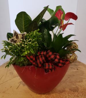 Red Oval Planter Plants