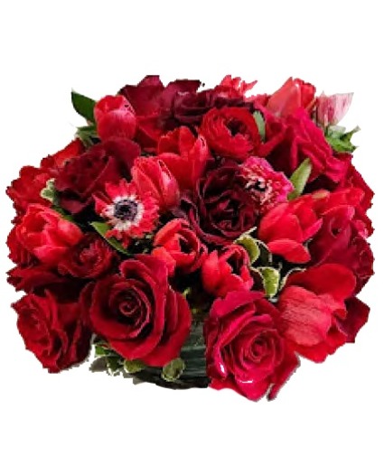 Red Hot Passion Cut flowers
