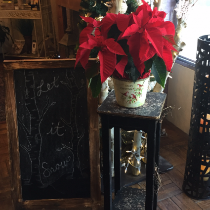 Red Poinsettia Planter