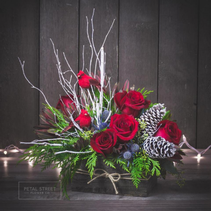 Red Robin Christmas Flowers  
