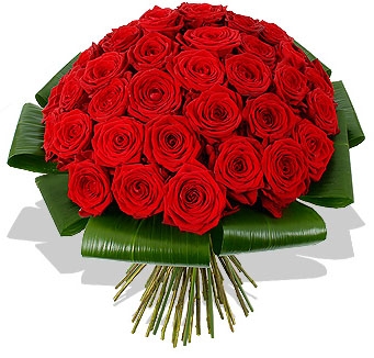 RED ROMANCE