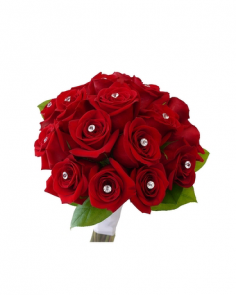 Category Image