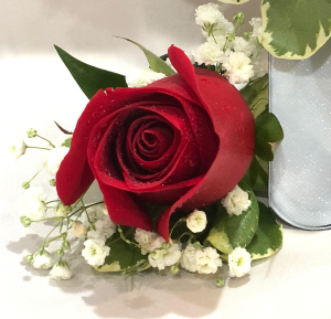 Red Rose Boutonniere  Powell Florist Exclusive
