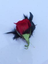 Red Rose Boutonniere with Black Feathers  