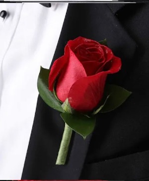 Red Rose Boutonniere without Babies Breath Boutonniere