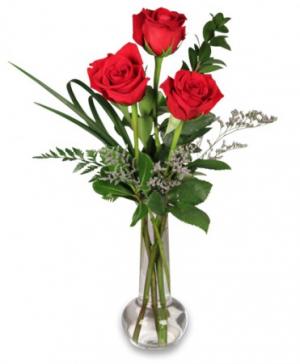 Red Rose Bud Vase 3 Premium Roses