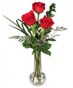 Red Rose Budvase Bouquet 