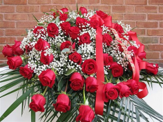 Category Image