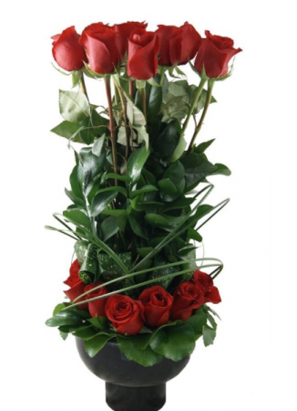 RED ROSE CELEBRATION Valentine’s / anniversary