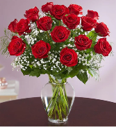 Red Rose Elegance Roses