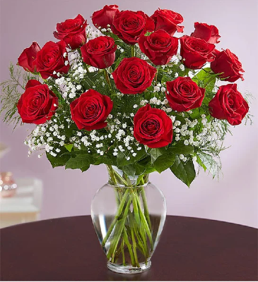 Red Rose Elegance Roses in Oakland Park, FL | Eva's Flowers & Gifts