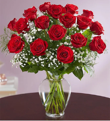 Red Rose Elegance Roses