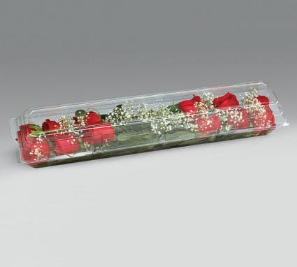 Roses in Clear Box 