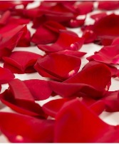 Red Rose Petals 