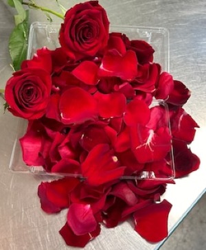 Red Rose Petals 
