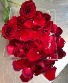 Red Rose Petals 