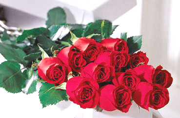 Red Rose Special Fresh flowers