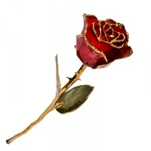 Red Rose Trimmed In 24 ct gold Displayed in a Gift Box