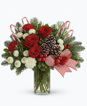 Red Rose Winter Cheer Vase arrangement