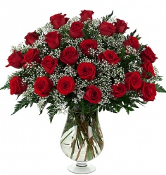 Category Image