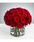 Red roses 