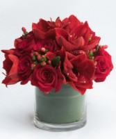 Red Roses & Amaryllis 