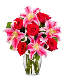 Red roses and stargazers red roses and star gazers