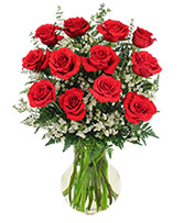 Red Roses and Wispy Whites Classic Dozen Roses