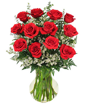 Red Roses and Wispy Whites Classic Dozen Roses