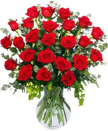 Red Roses and Wispy Whites Classic Dozen Roses Red Roses and Wispy Whites Classic Dozen Roses